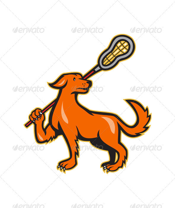 Dog With Lacrosse Stick Side View - Animals Characters