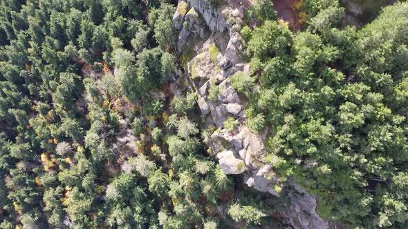 Mount Prevost, Vancouver Island. Rocky cliffs and tree-covered forest. alt