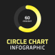 Circle Chart Infographic - VideoHive Item for Sale