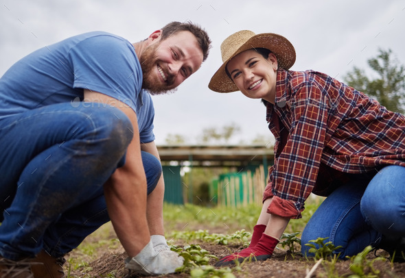Couple working with garden plant on field ground with sand, soil and nature environment for sustain