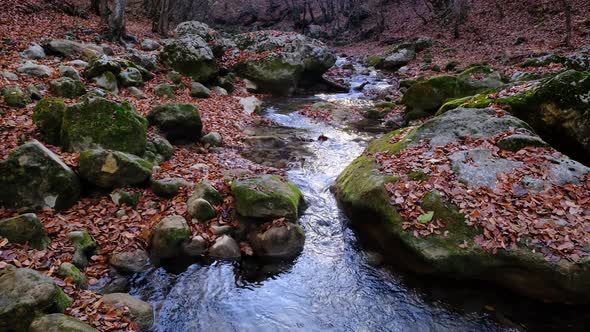 View of the River Flowing From the Mountain Waterfall alt