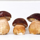 Introducing freshly picked whole porcini mushrooms - PhotoDune Item for Sale