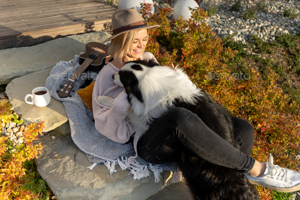 Puppy dog Border Collie at home playing with toys Stock Photo by  leszekglasner