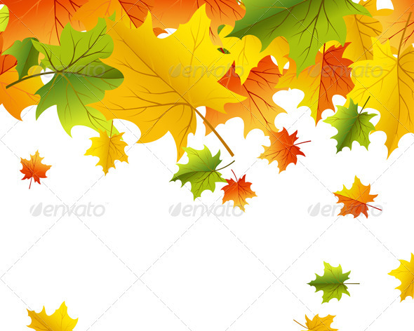 Autumn Background - Seasons Nature