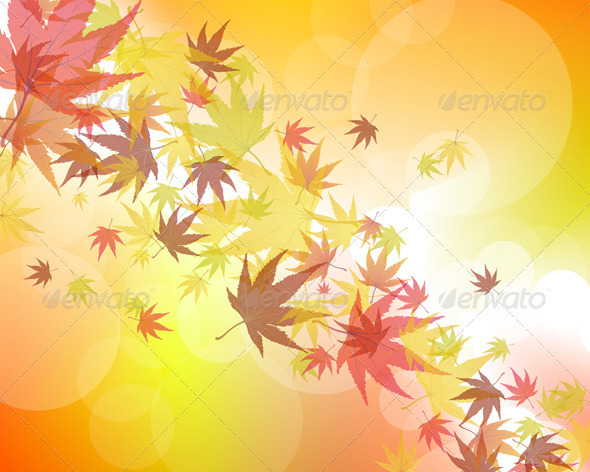 Autumn Background - Seasons Nature