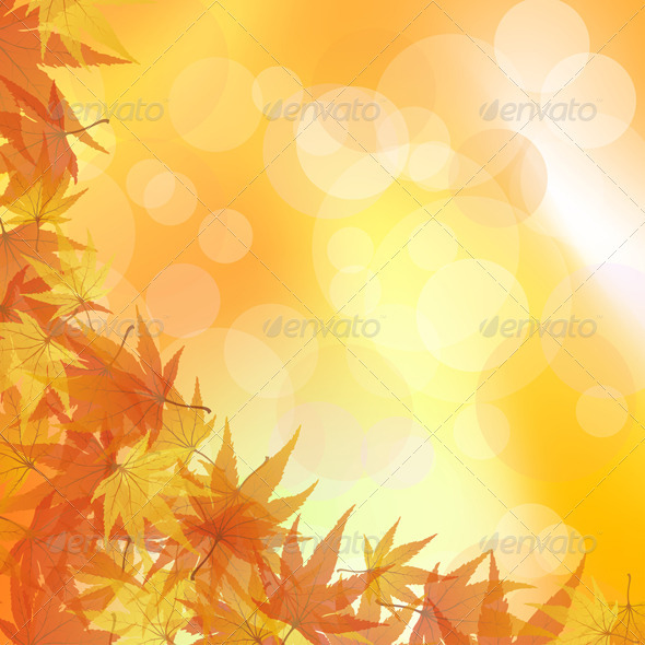 Autumn Background - Seasons Nature