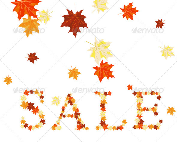 Maples Leaves Sale - Seasons Nature