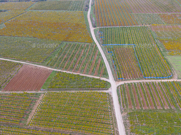 Aerial view of a road passing through the vineyards in autumn - Stock Photo - Images