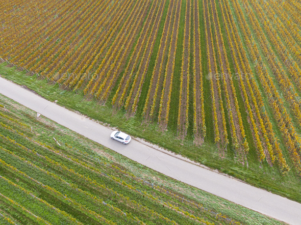 Aerial view of a road passing through the vineyards in autumn. A car passes - Stock Photo - Images