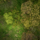 Aerial view of spring green forest, nature background - PhotoDune Item for Sale