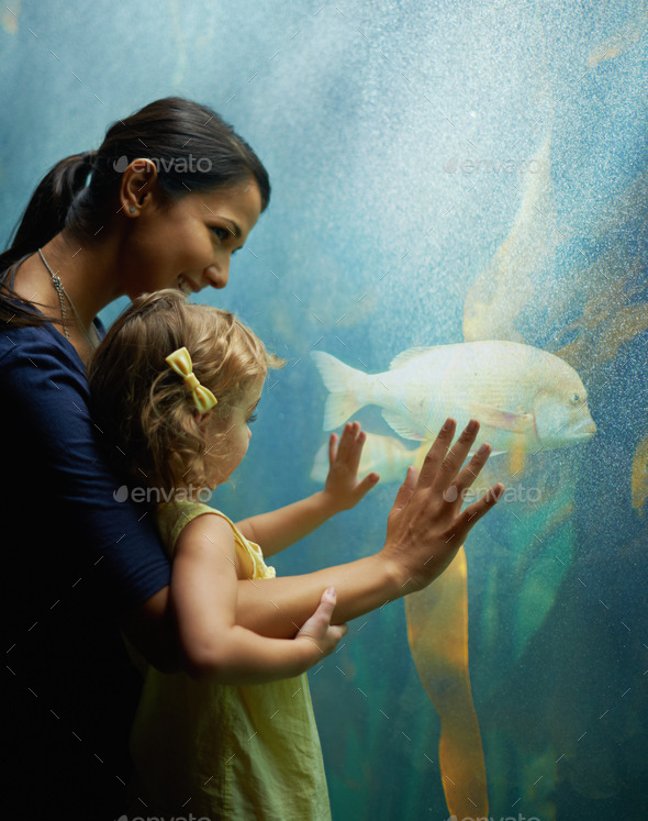 See, hes a friendly fish. Shot of a mother and daughter on an outing to the aquarium.