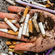 Close up hand holding pile of cigarettes with dirt. - PhotoDune Item for Sale
