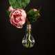 Vertical shot of flower in a light bulb. - PhotoDune Item for Sale