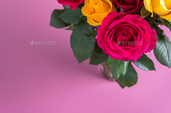 Bunch of colorful roses - Stock Photo - Images