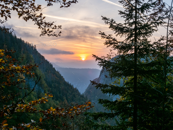 Sunrise between Forest in seven lakes valley hiking trail, Slovenia - Stock Photo - Images