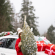 Woman with wrapped Christmas tree near car in mountains - PhotoDune Item for Sale