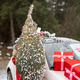 Woman with wrapped Christmas tree near car in mountains - PhotoDune Item for Sale
