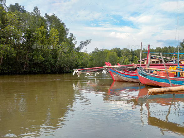 A view of mangrove swamp forest in a fishing boat jetty area in a fishing  village. Stock Photo by Azrin90