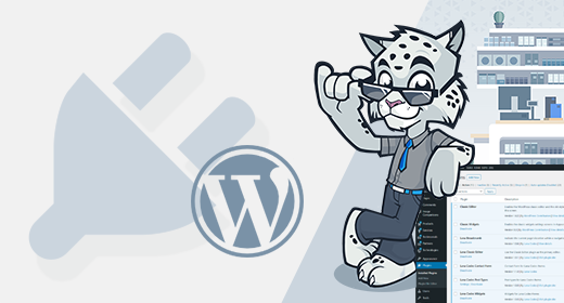 WordPress Plugins by Lana Codes