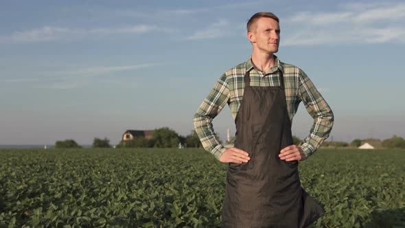 A young farmer in a soybean field inspects his land with admiration. alt