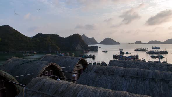 Landscape of Cat Ba Island with Bungalow, Ha Long Bay, Vietnam Timelapse alt