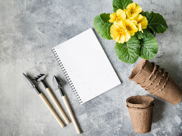 Open white notebook for text, yellow primrose flower, garden tools and seeds in paper bags