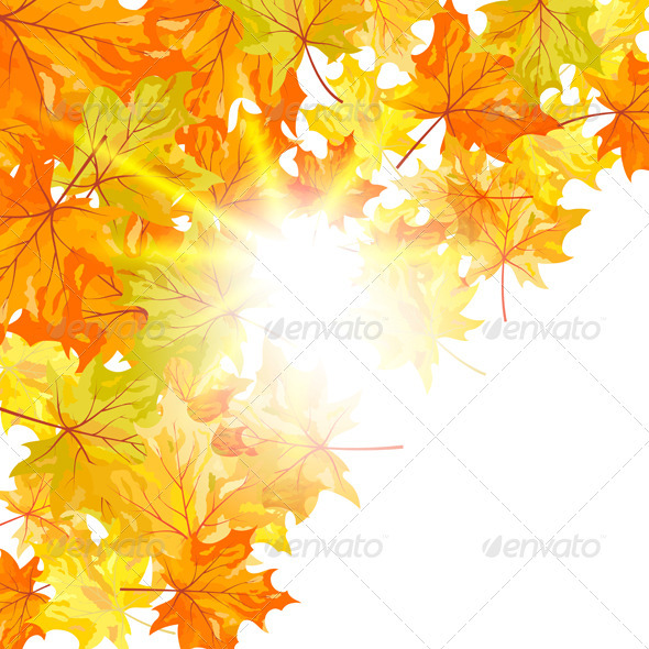 Autumn Background - Seasons Nature