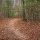 Beautiful trail in the Tennessee mountains - PhotoDune Item for Sale