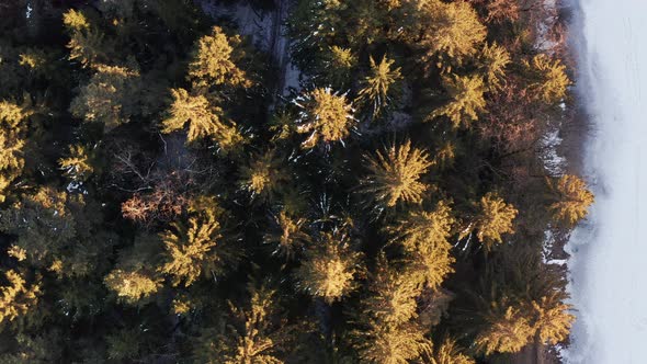Aerial View at Frozen Lake in the Middle of Winter Forest alt