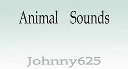 Animal Sounds