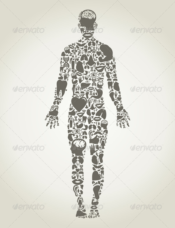 Body Parts of the Person by aleksandr-mansurov-ru | GraphicRiver