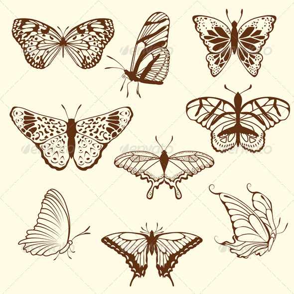 Set of Different Butterfly Sketches - Animals Characters