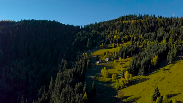 Flying Over the Forest and the House of Shepherds in the Carpathians alt