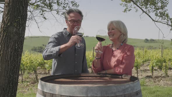 Senior couple drinking wine at vineyard 