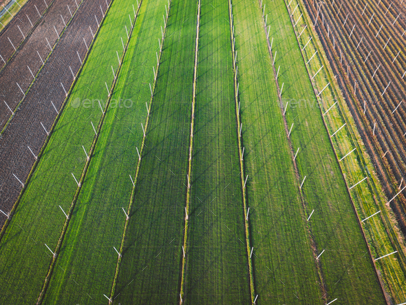 Aerial view of agricultural fields in the countryside of Slovenia