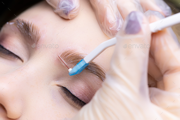 macro photography of the distribution of eyebrow hairs using a brush for laying