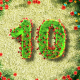 Flower Countdown Logo Reveal - VideoHive Item for Sale