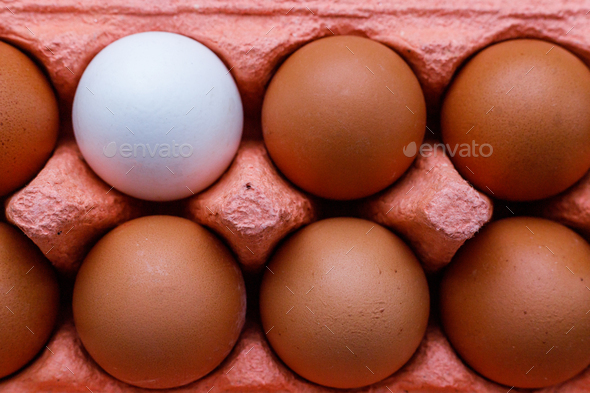 Open egg box with ten brown eggs close up view. - Stock Photo - Images