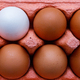Open egg box with ten brown eggs close up view. - PhotoDune Item for Sale