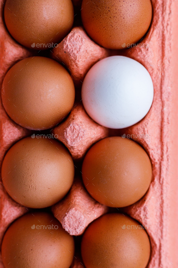 Open egg box with ten brown eggs close up view - Stock Photo - Images