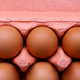 Open egg box with ten brown eggs close up view.  - PhotoDune Item for Sale