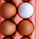 Open egg box with ten brown eggs close up view - PhotoDune Item for Sale