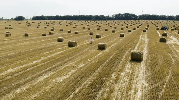 Beautiful young girl in a white shirt on a field among sheaves of hay. Aerial view	 alt