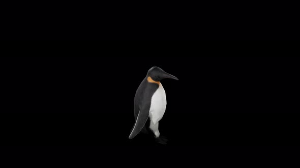 Penguin walk 4k alpha loop 2