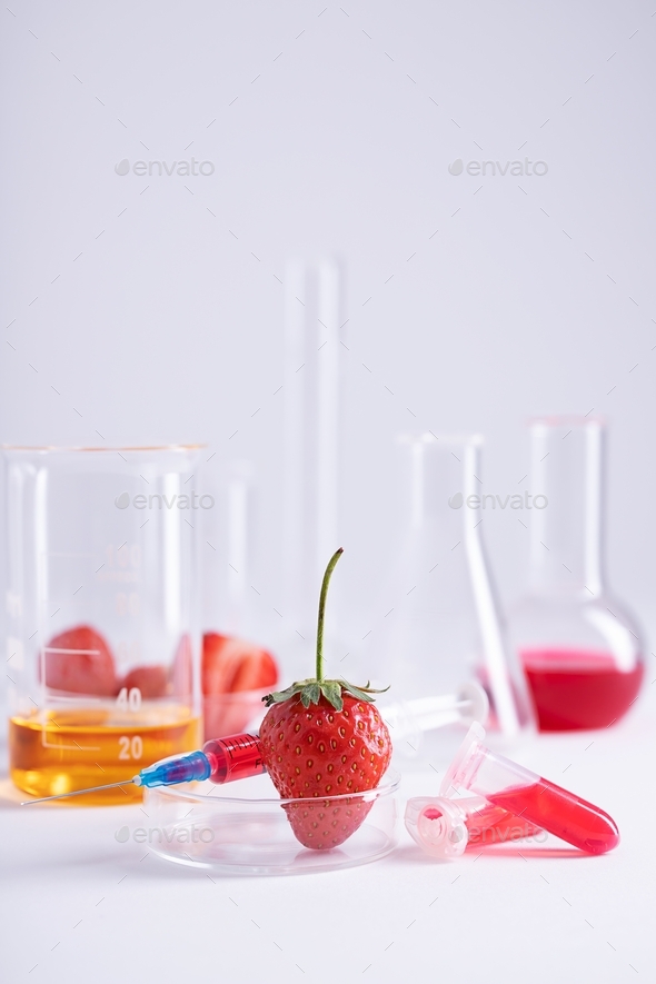 Vertical shot of the working space for a strawberry DNA extraction experiment at a lab Stock
