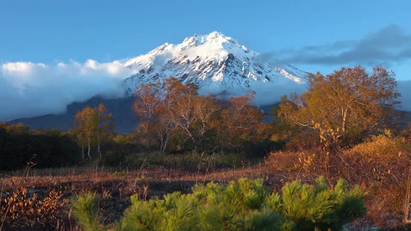 Picturesque Volcanic Landscape, View of Rocky Cone Volcano, Yellow-Orange Forest