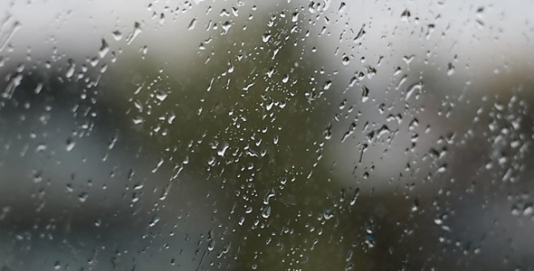 Rain Drops Fall On The Glass, Stock Footage | VideoHive