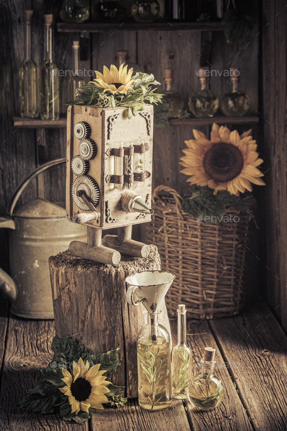 Unique and imaginary virgin oil machine with seeds and sunflower.