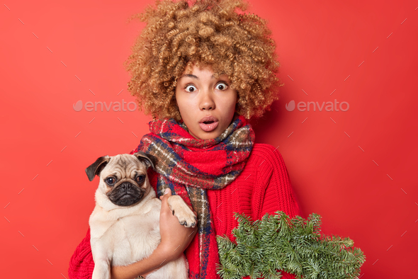 Photo of stunned young woman holds pedigree dog poses with spruce wreath prepares for Christmas cele
