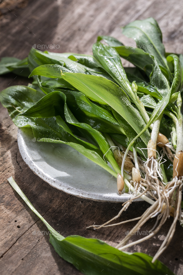 Leaves of wild garlic, lat. Allium ursinum, on white table. Decorated with ramson stem with unripe s - Stock Photo - Images